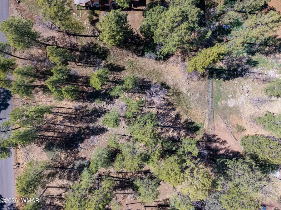 1036 W Apache Lane, Lakeside, AZ 85929 - #3