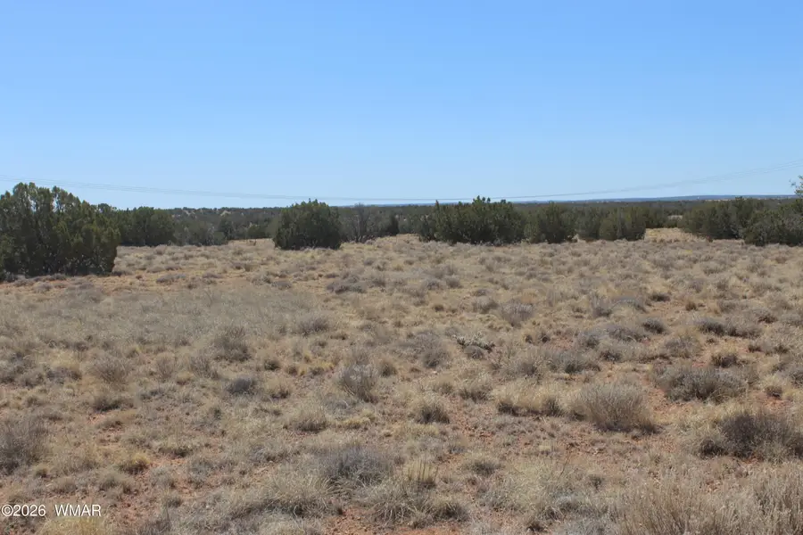 5999 Mesa View Lot 149 Drive, Heber, AZ 85928 - #2