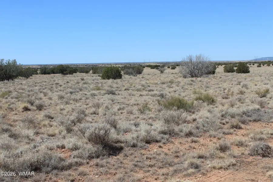 5999 Mesa View Lot 149 Drive, Heber, AZ 85928 - #3