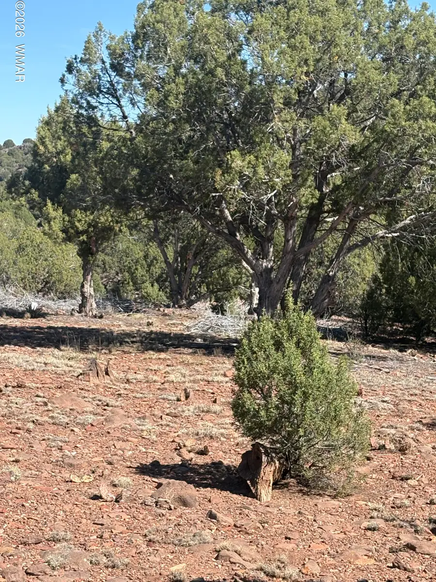 88 North 8714, Concho, AZ 85924 - #2