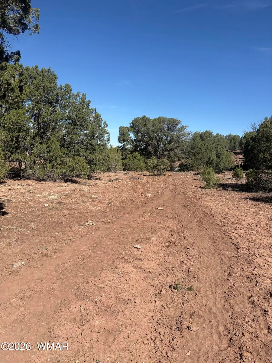 88 North 8714, Concho, AZ 85924 - #3