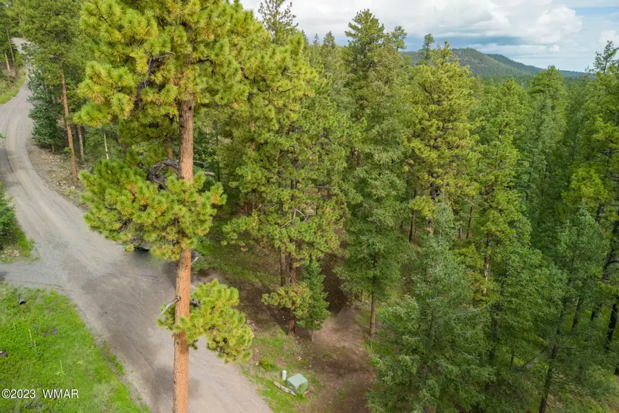 29 N1068, Greer, AZ 85927 - #3