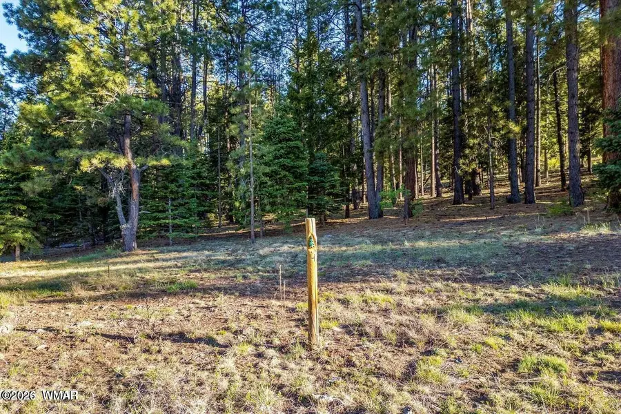 10 N 1337, Greer, AZ 85927 - #3