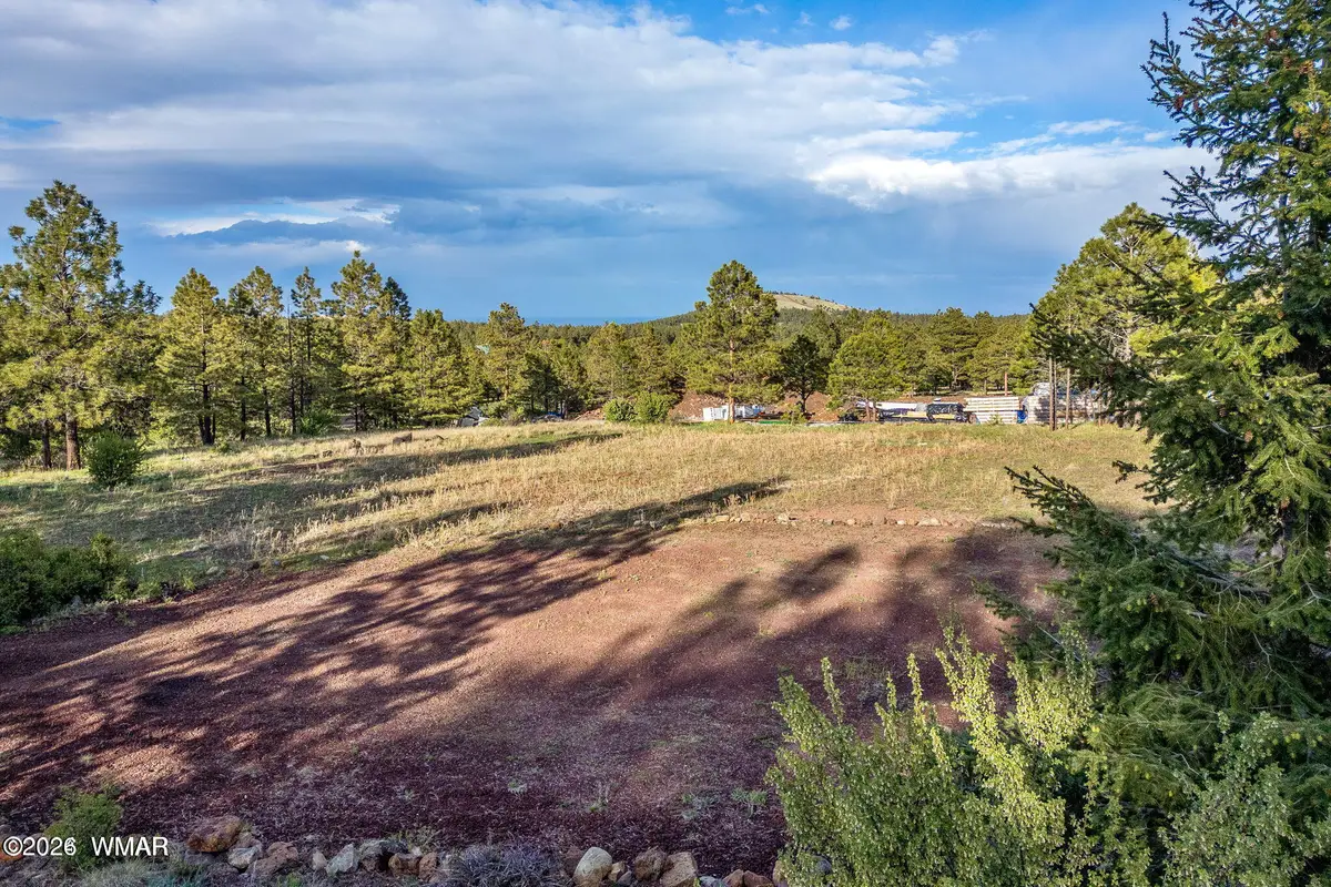 34 N 1330, Greer, AZ 85927 - #1