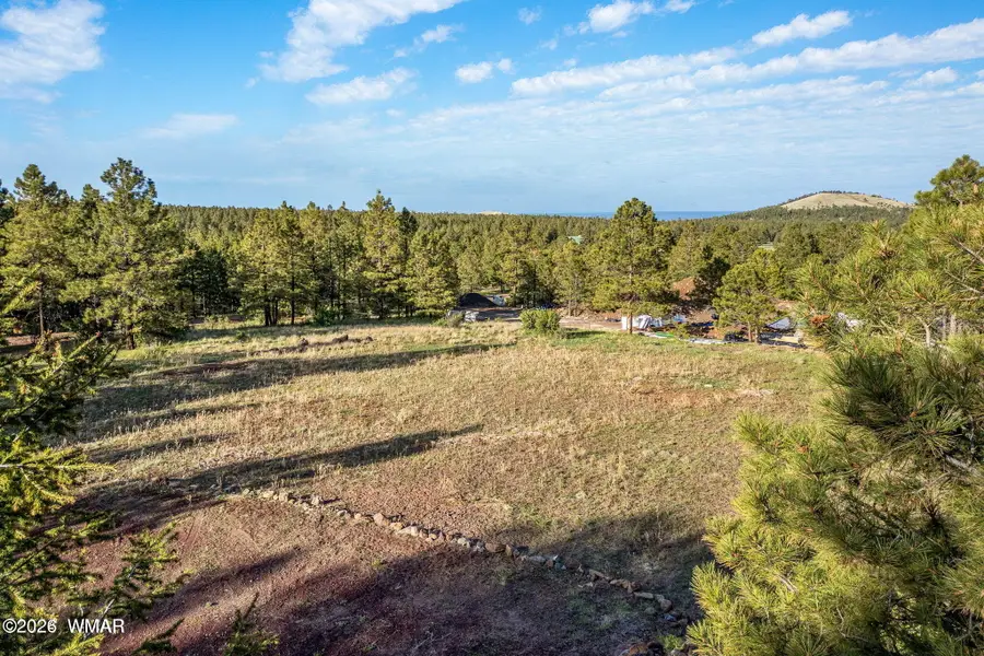 34 N 1330, Greer, AZ 85927 - #2