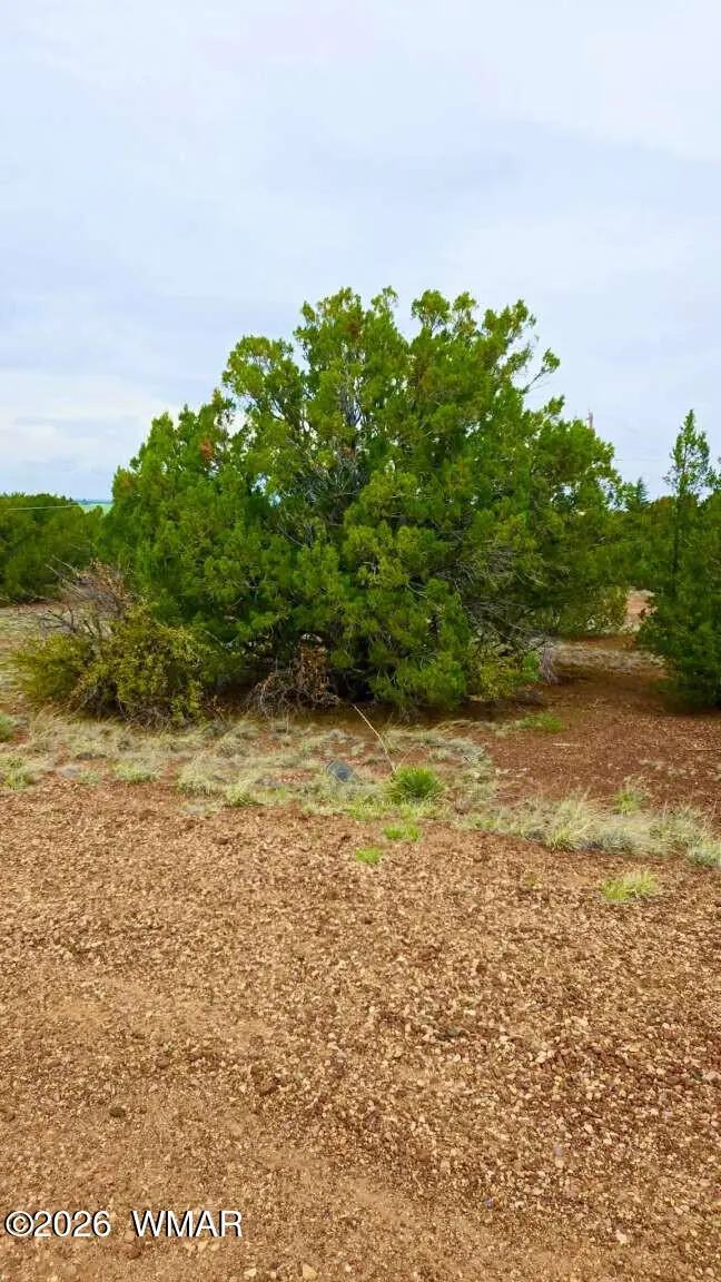 8458 Soto Place, Show Low, AZ 85901 - #2