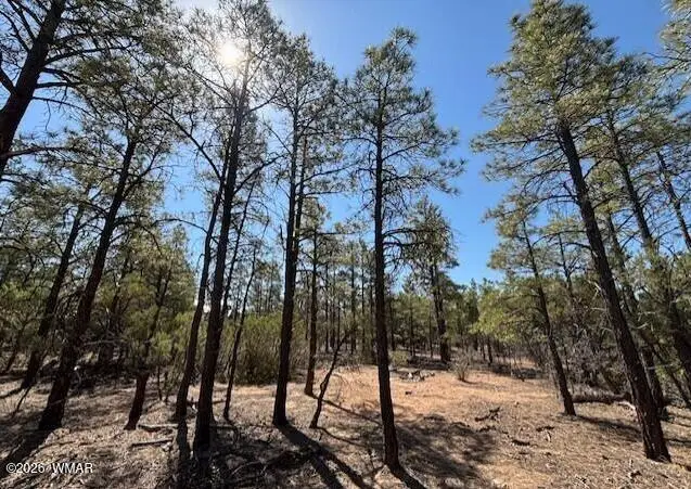 181 S Cliffrose Lane, Show Low, AZ 85901 - #3