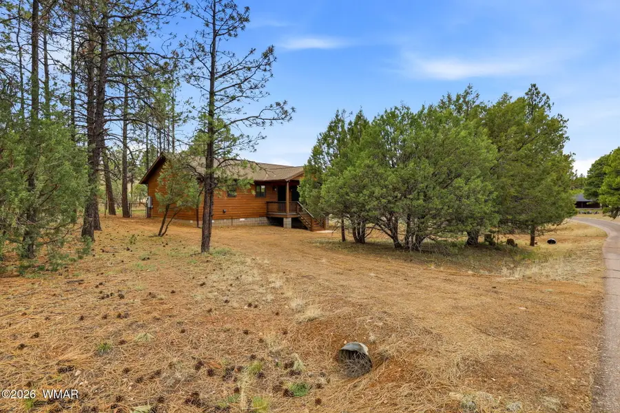 2934 Ransack Road, Overgaard, AZ 85933 - #3