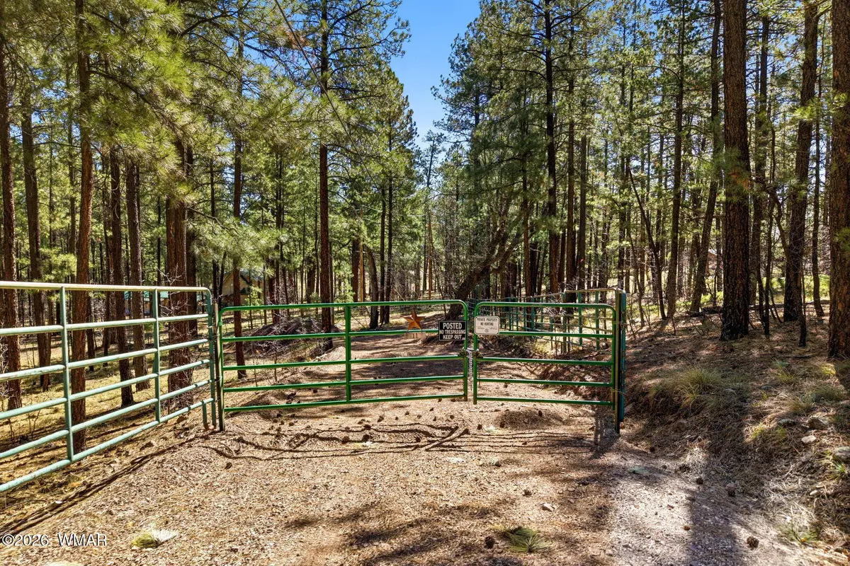 11 County Road 2135, Alpine, AZ 85920 - #1