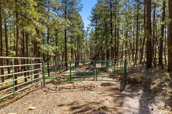 11 County Road 2135, Alpine, AZ 85920