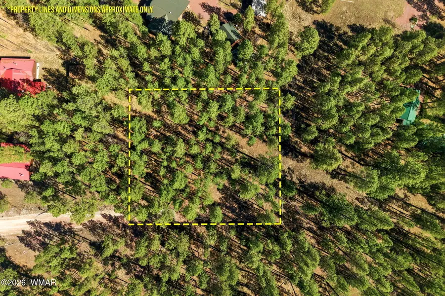 11 County Road 2135, Alpine, AZ 85920 - #2