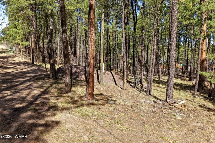 11 County Road 2135, Alpine, AZ 85920 - #3