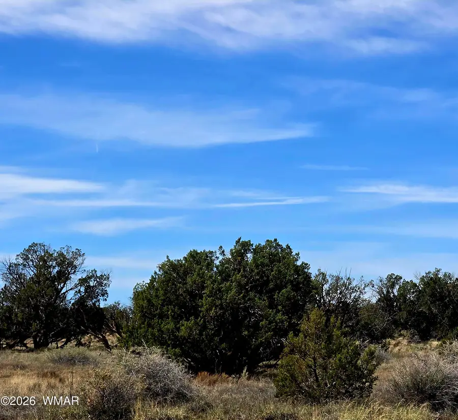 5438 County Line Road, Snowflake, AZ 85937 - #2