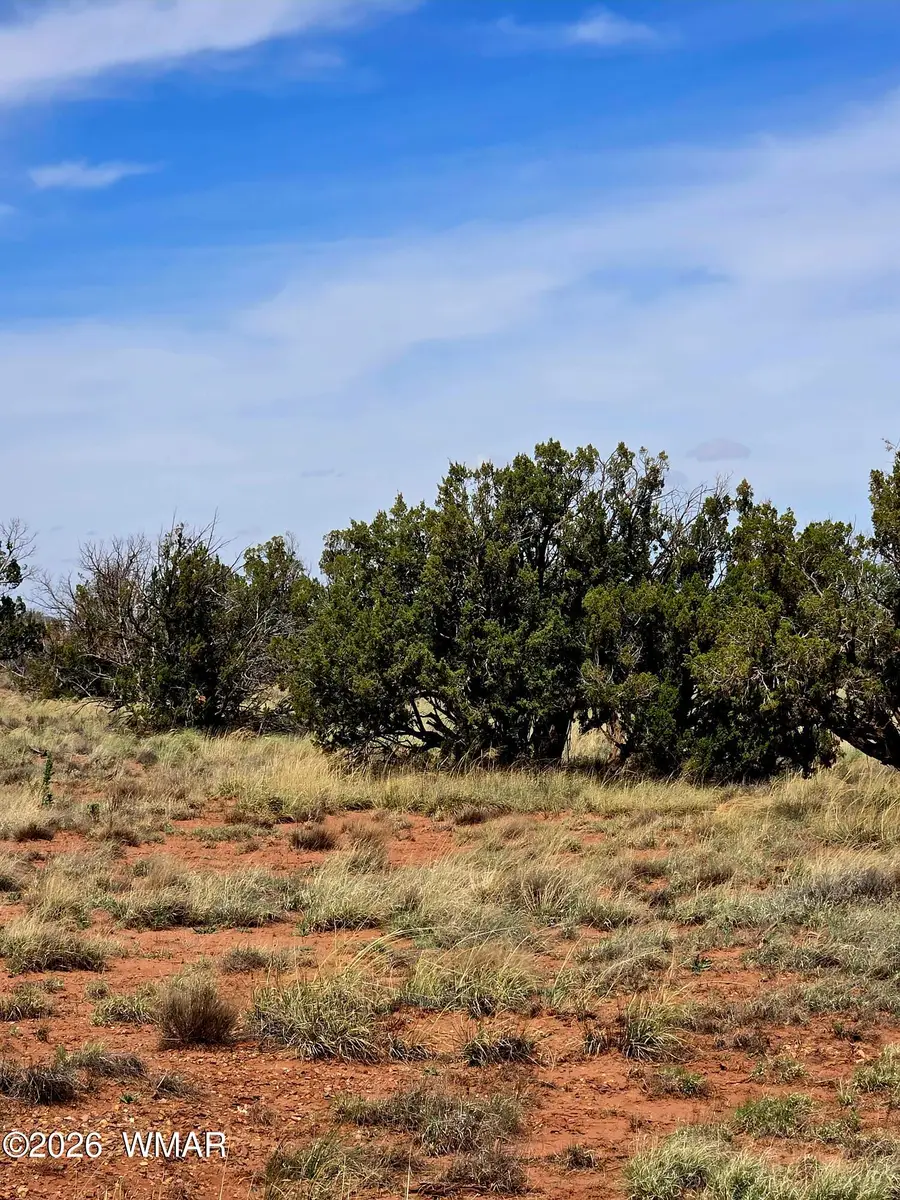 5438 County Line Road, Snowflake, AZ 85937 - #3