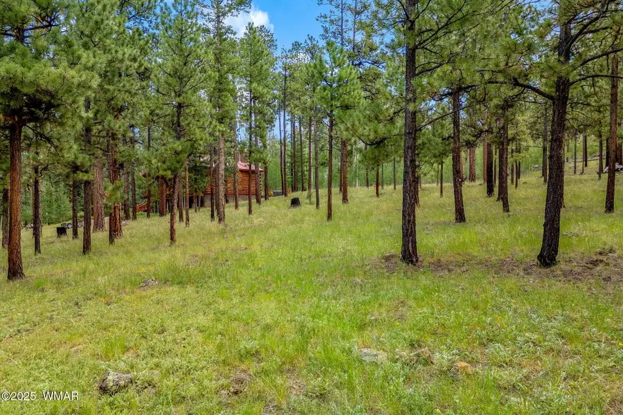 16 N1062, Greer, AZ 85927 - #2