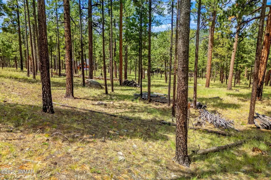 16 N1062, Greer, AZ 85927 - #3