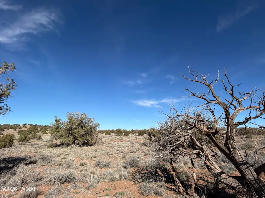 4125 Sorrel Road, Snowflake, AZ 85937 - #3