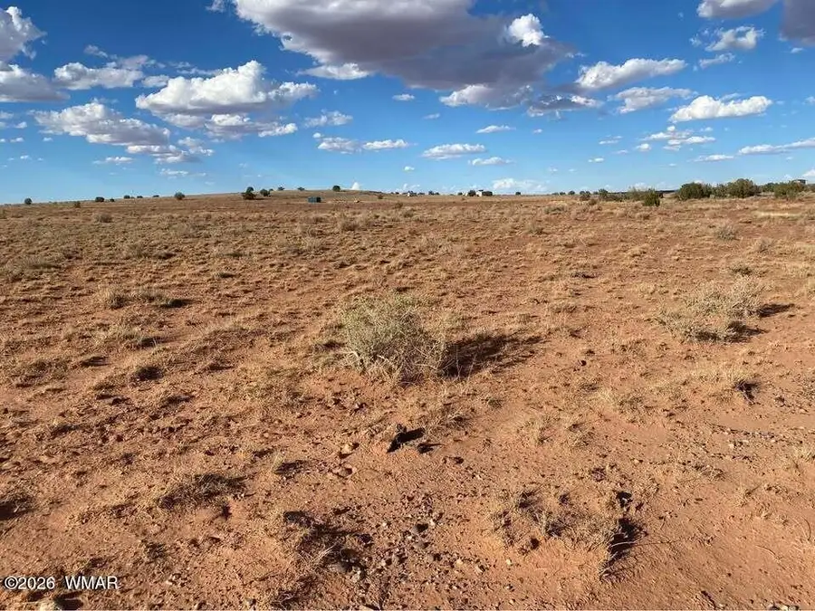 7566 Birch Lane, Snowflake, AZ 85937 - #2