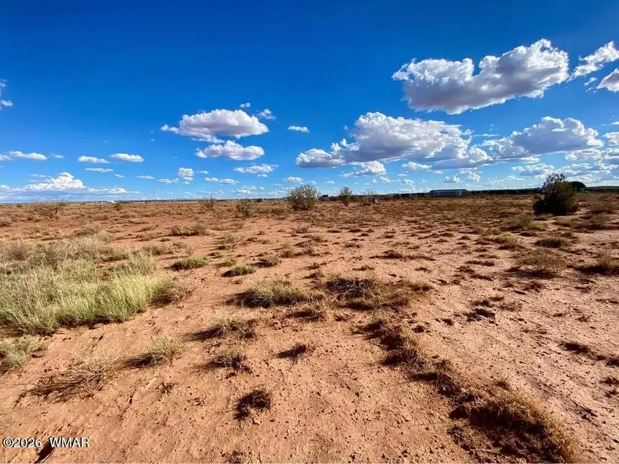 7566 Birch Lane, Snowflake, AZ 85937 - #3