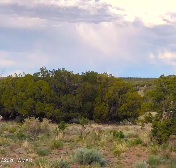 Lots 61-62 Elk Valley Ranch, St. Johns, AZ 85936