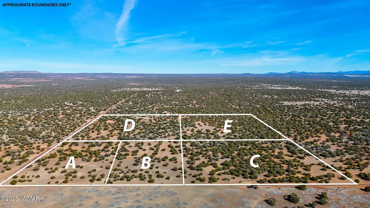 9023 Appaloosa Trl (lot B) 5 Acres, Show Low, AZ 85901 - #1