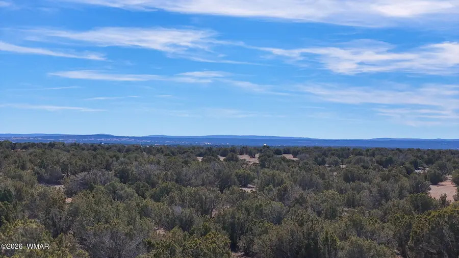 9023 Appaloosa Trl (lot B) 5 Acres, Show Low, AZ 85901 - #2