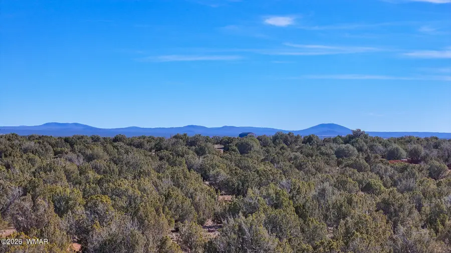 9023 Appaloosa Trl (lot B) 5 Acres, Show Low, AZ 85901 - #3