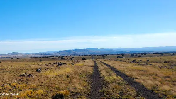 TBD Cr 5134, Concho Valley, AZ 85924