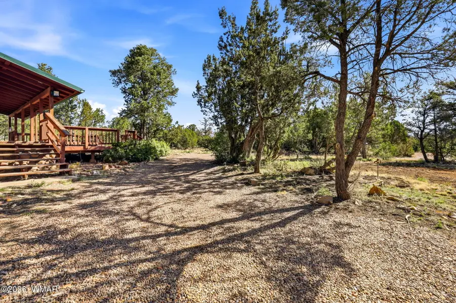 3650 Buckskin Road, Overgaard, AZ 85933 - #3
