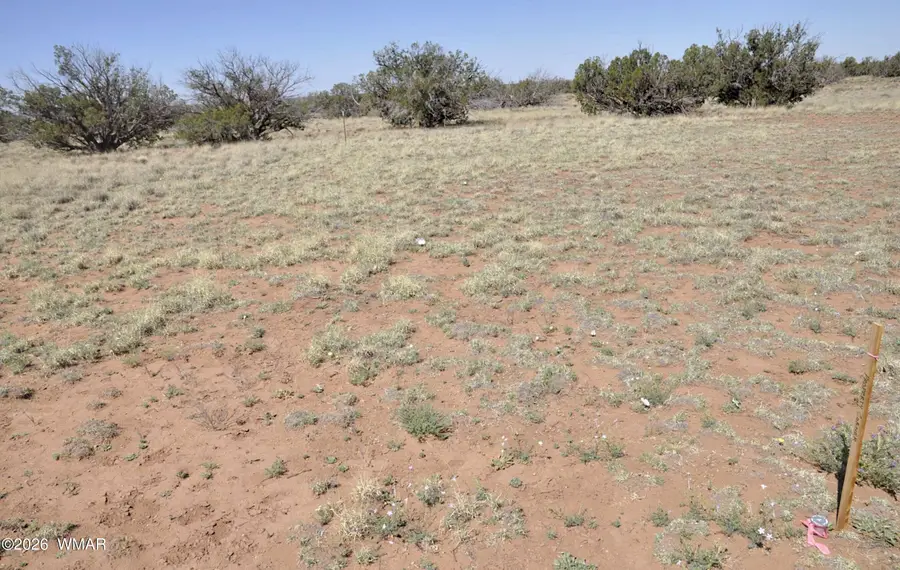 29A Cr N9080, Concho, AZ 85924 - #2