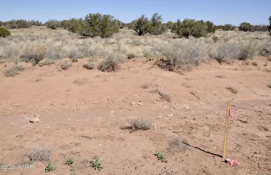 29A Cr N9080, Concho, AZ 85924 - #3