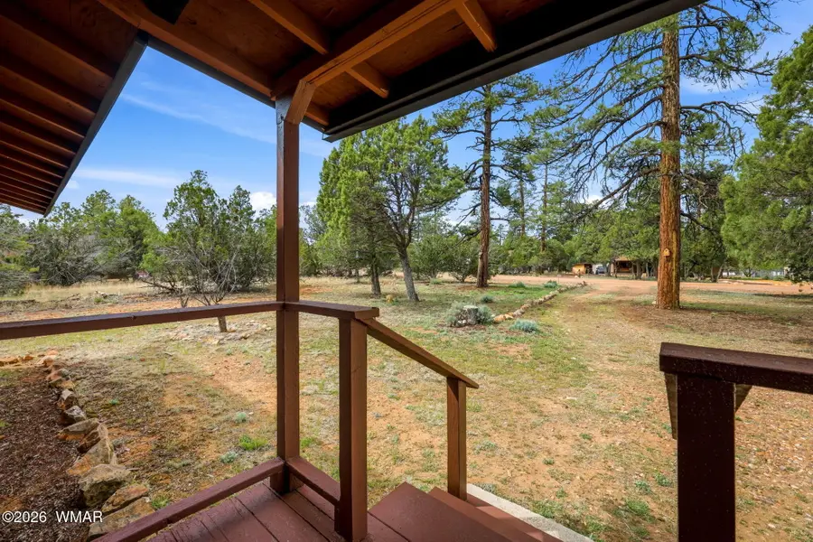 2895 Mustang Trail, Overgaard, AZ 85933 - #3