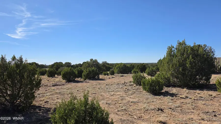 35 County Road 8623 Road, Concho, AZ 85924 - #2