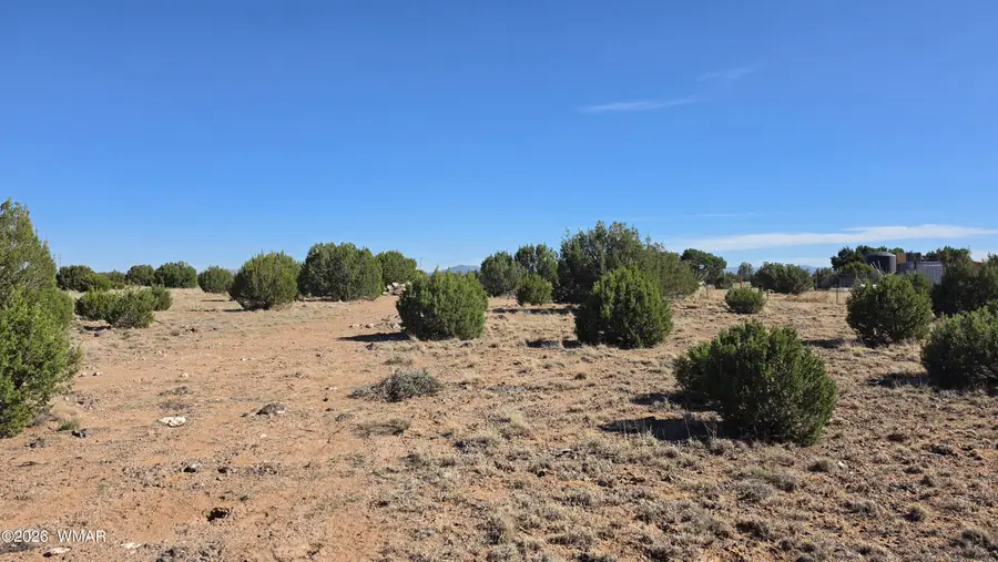 35 County Road 8623 Road, Concho, AZ 85924 - #3