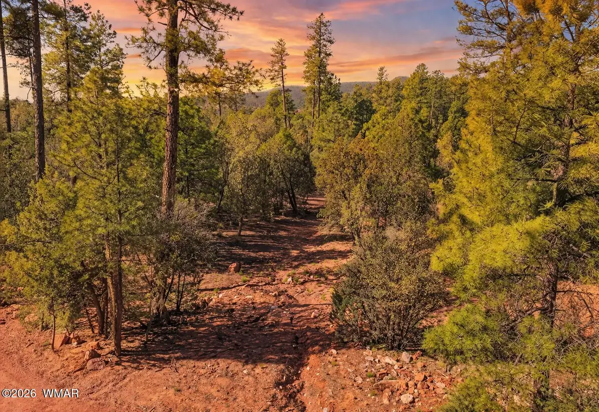 0 Fawn Drive, Pine, AZ 85544 - #1