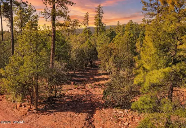 0 Fawn Drive, Pine, AZ 85544