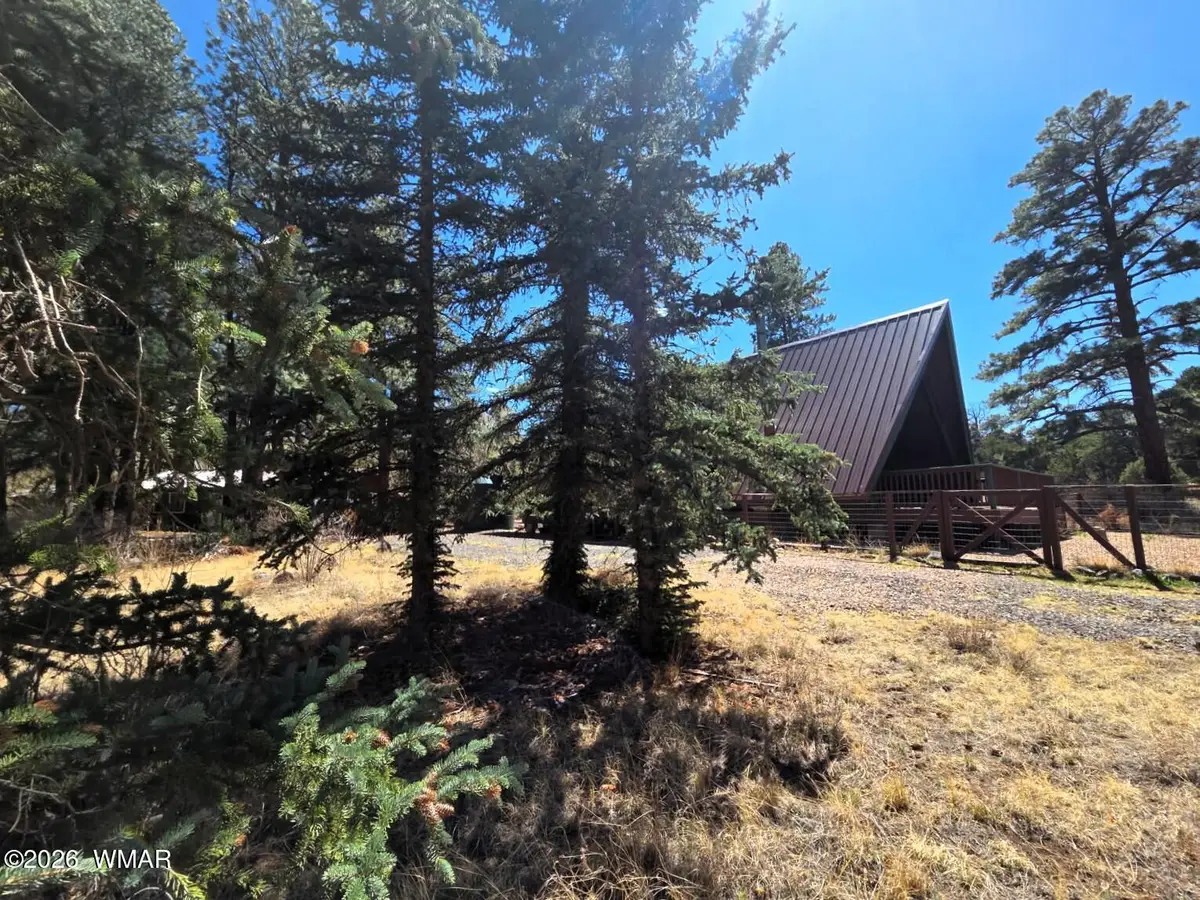 16 County Road N4035, Greer, AZ 85927 - #1