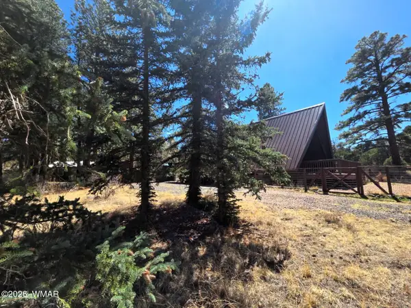 16 County Road N4035, Greer, AZ 85927