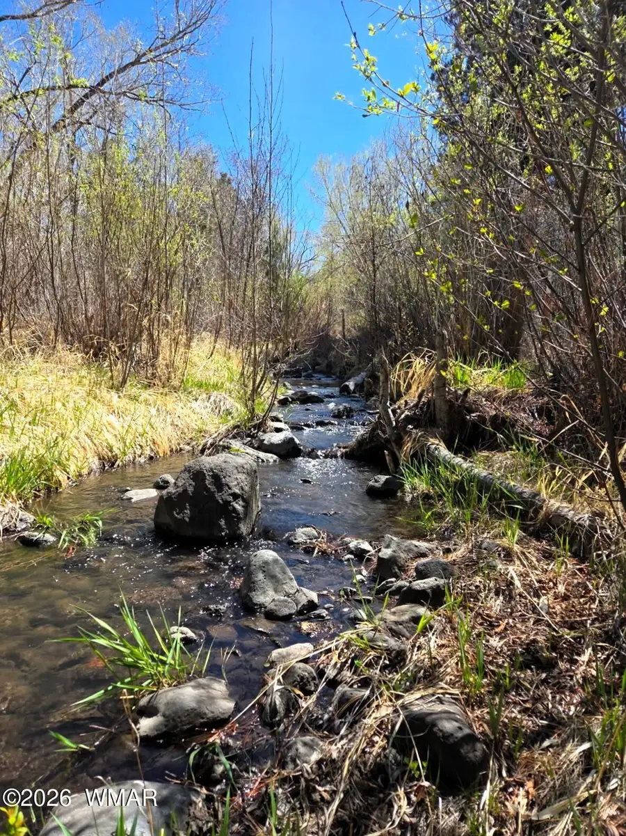 16 County Road N4035, Greer, AZ 85927 - #3