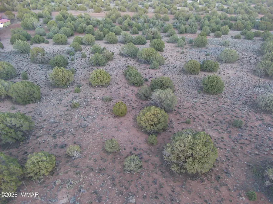 4427 Clydesdale Road, Snowflake, AZ 85937 - #3