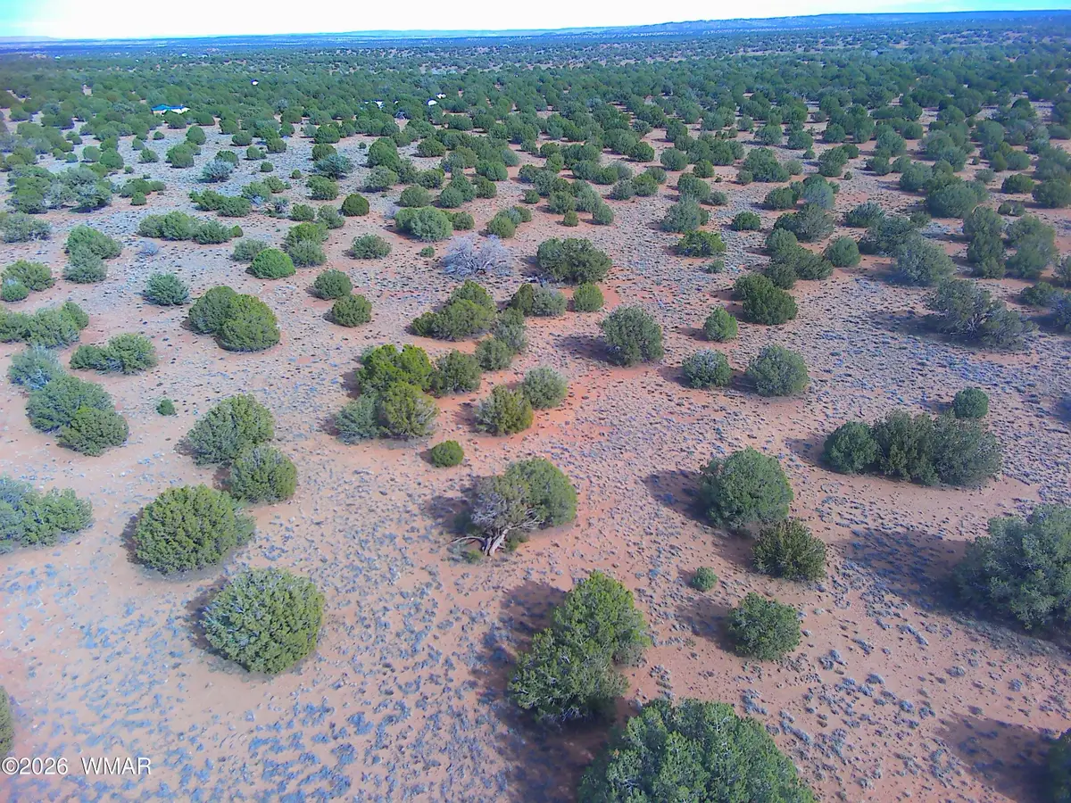 4039 Indian Bend Road, Snowflake, AZ 85937 - #1