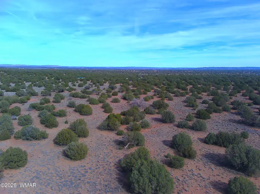 4039 Indian Bend Road, Snowflake, AZ 85937 - #2