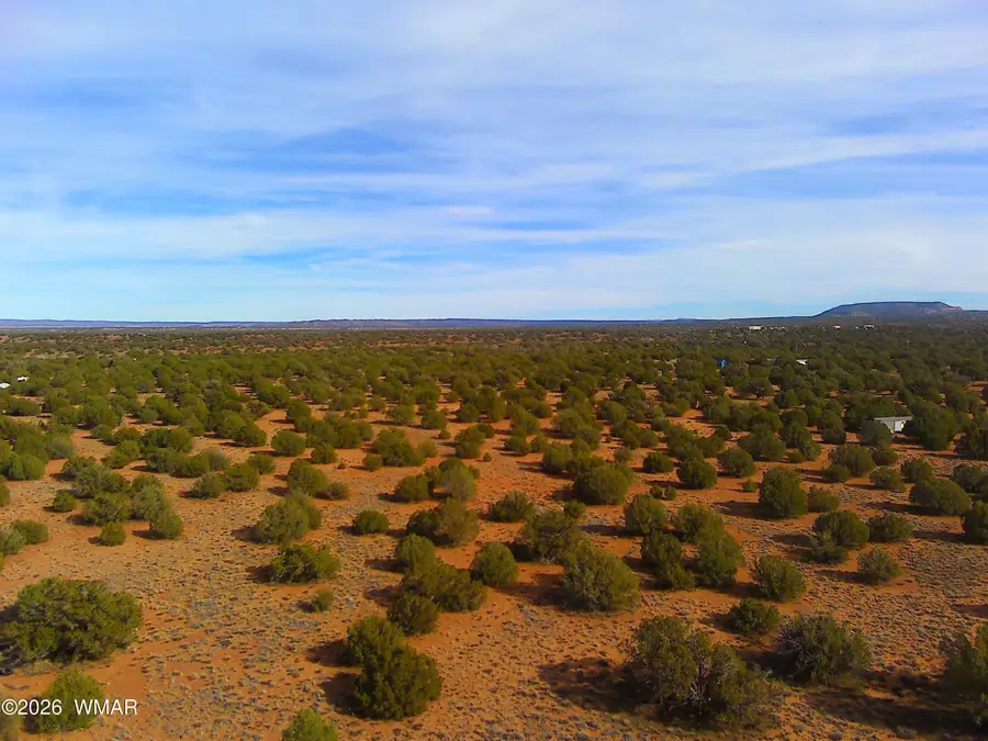 4039 Indian Bend Road, Snowflake, AZ 85937 - #3