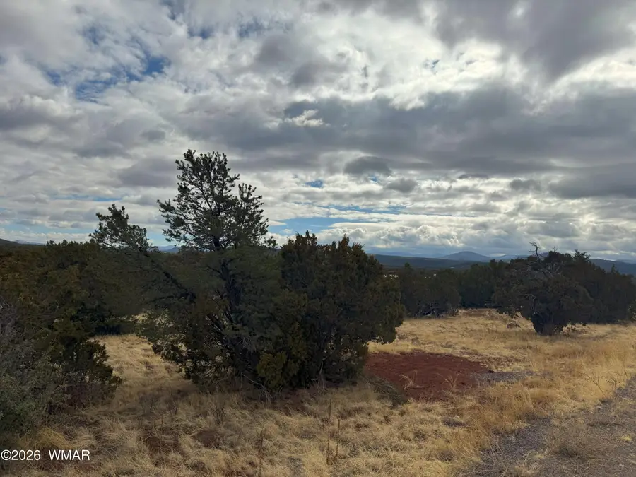 14 Co, Vernon, AZ 85940 - #2