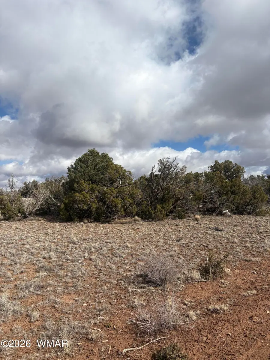 3C N8716, Concho, AZ 85924 - #3
