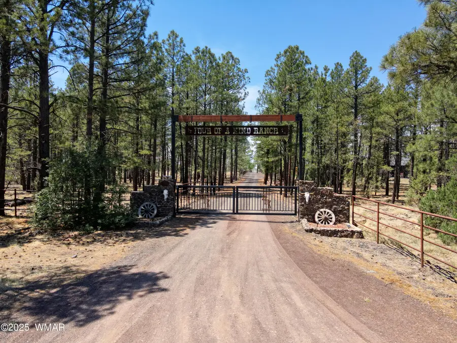 Address Withheld By Seller, Lakeside, AZ 85929 - #2