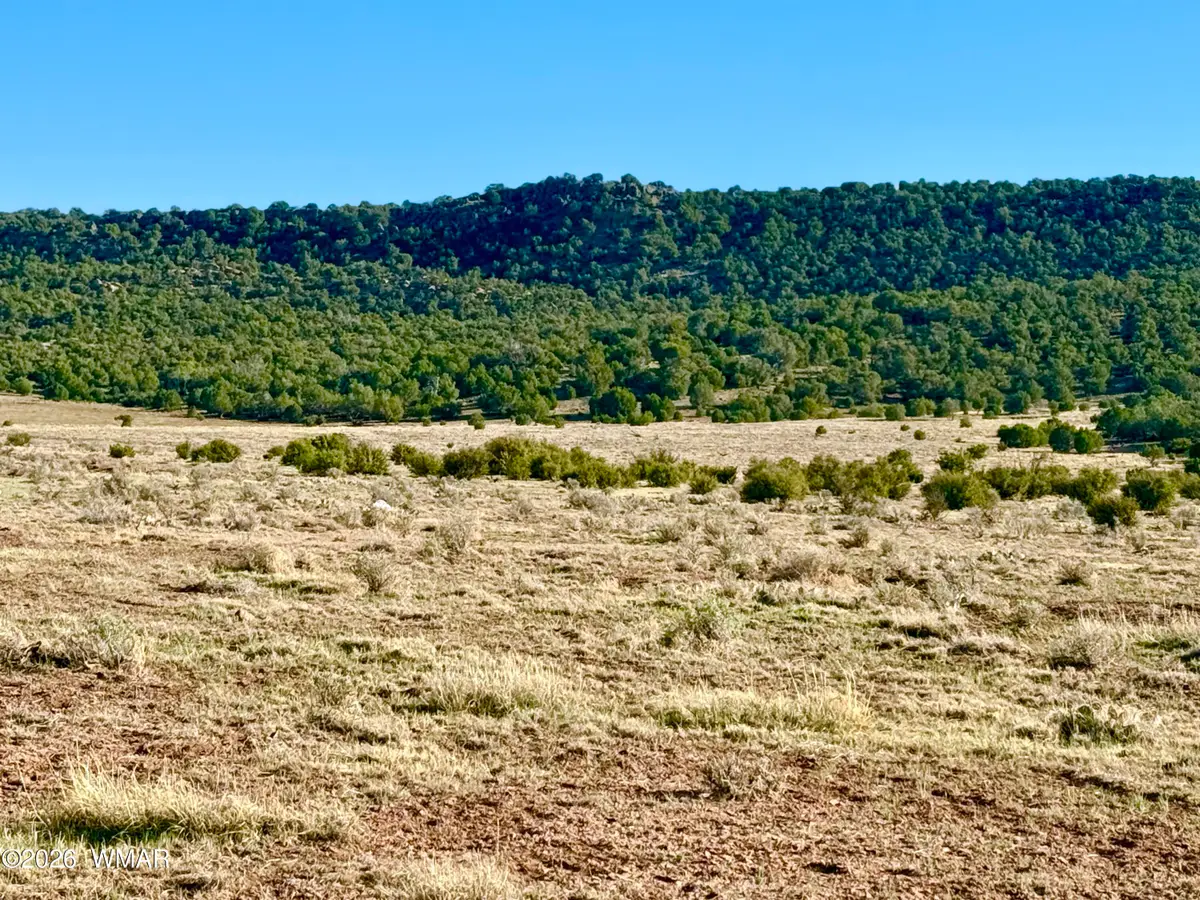85 Co Road 8500 40 Acres, Concho, AZ 85924 - #1