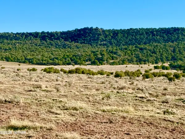85 Co Road 8500 40 Acres, Concho, AZ 85924