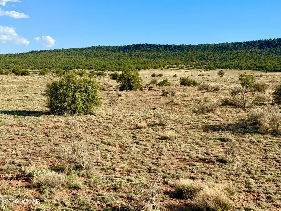 85 Co Road 8500 40 Acres, Concho, AZ 85924 - #2