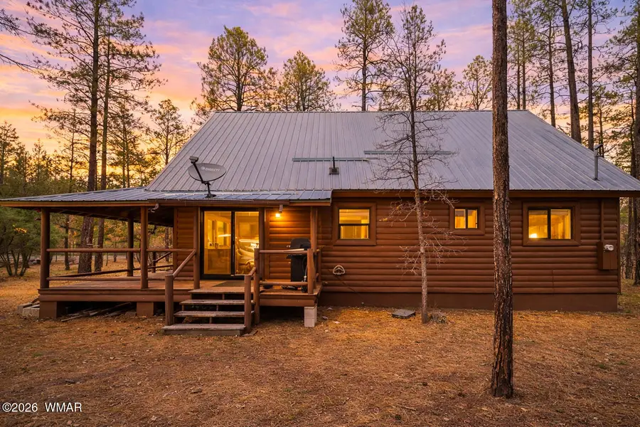 1727 S Hart Lake Lane, Lakeside, AZ 85929 - #3